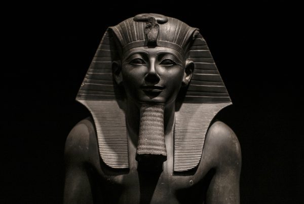 Crociera sul nilo Museo di Luxor